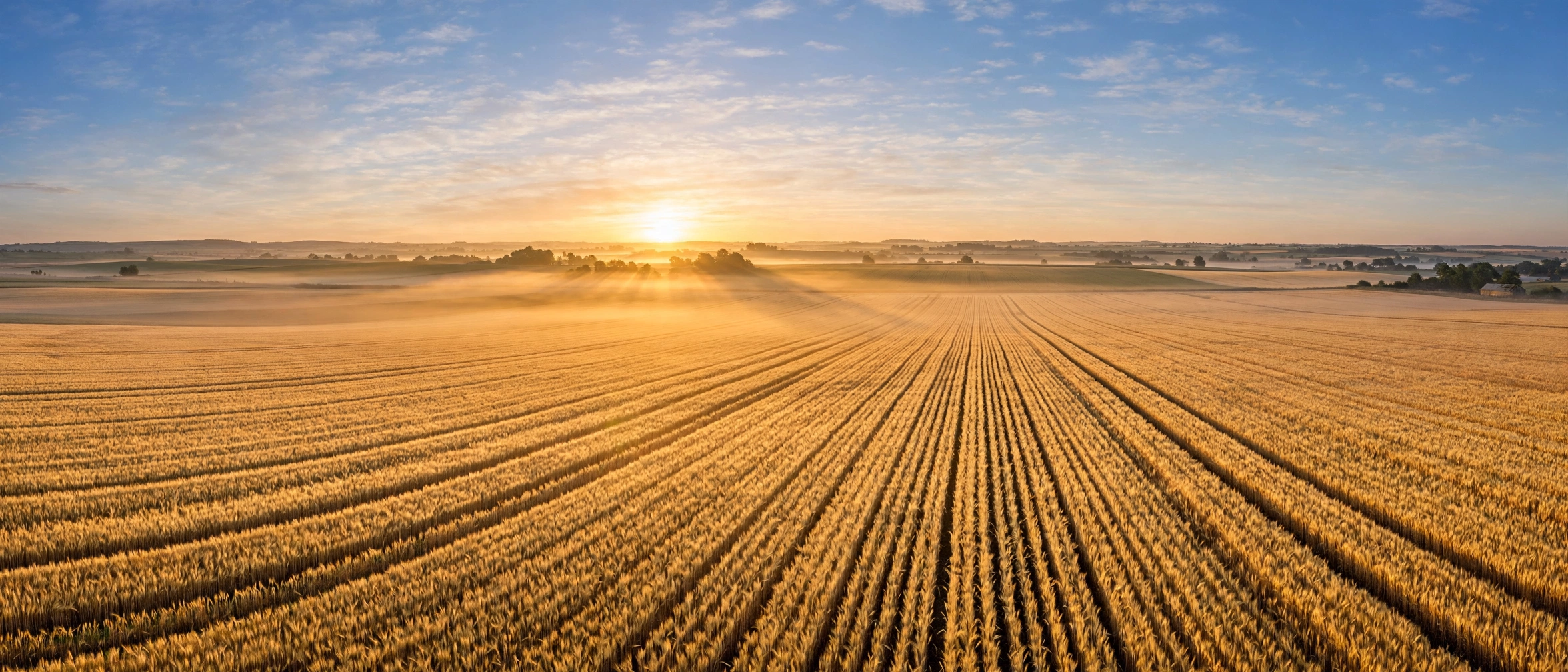 Farmland at sunrise