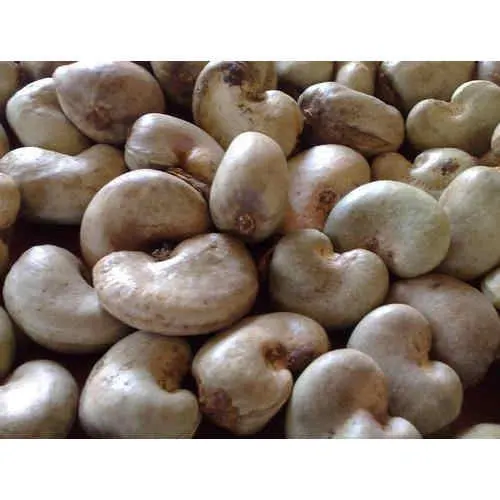Cashew nuts