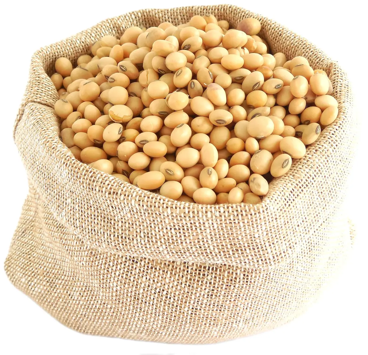 Soybeans